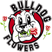 CareAway Cakes & Gifts